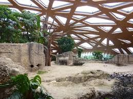 besuch im zoo zurich regenwald elefanten und mehr travelblogger