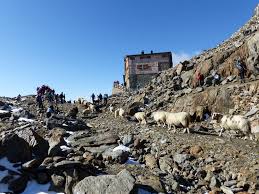 Nachdem wir morgens von der winnebachseehütte abgefahren sind und mit dem auto rüber gefahren sind, steigen wir von vent aus bis zur similaunhütte. Similaunhutte Wikipedia