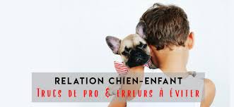 3 Conseils De Pro Essentiels Pour Sauver La Relation Enfant Chien