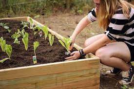If you want to see how i made a really, really large raised vegetable garden bed, here's the article with pictures. Build Cheap Raised Garden Beds Inexpensive Raised Garden Bed Diy Hgtv
