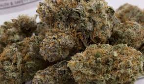 Zardari, karzai commit to peace deal in six months: Afpak Strain Review I Love Growing Marijuana