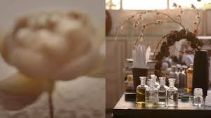A Guide To Fragrance Aesop Singapore