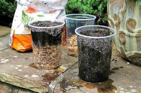 Plants, especially indoors, are mainly decoration, which helps us to feel comfortable at. Best Container Drainage Myth Busting Joe Gardener