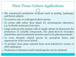 We did not find results for: Plant Tissue Culture Topics Covered In This Presentation History And Scope Preparation And Sterilization Terms Used In Tissue Culture Plant Tissue Culture Ppt Video Online Download