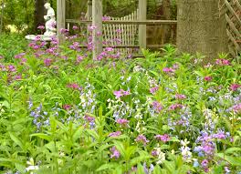 You can see how to get to flowers by johnny on our website. Waves Of Spring Flowers Bring Beauty To Hamburg Garden Buffalo Niagaragardening Com