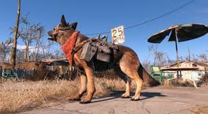 Now You Can Experience Fallout 4 Through The Eyes Of Dogmeat Cinemablend Fallout 4's wasteland is a truly harsh world.