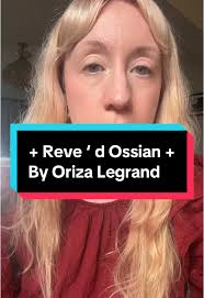 Reveree Bonafide Review