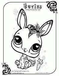Fairy garden drawing north american wildlife draw, color and learn about rainforests Coloring Pages Of Cartoon Animals The Best Cartoon Animal Coloring Coloring Home