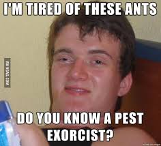 There are almost 4000 species of roaches across the world, and these pests have been around for almost 280 million years! Wife Forgot The Word For Exterminator 9gag