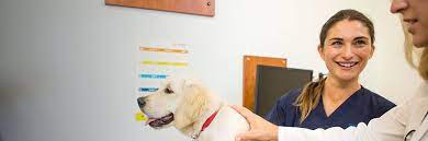 Search Hoffman Estates Jobs At Banfield The Pet Hospital