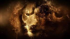 Wallpapers Tagged With Narnia Narnia Hd Wallpapers Page 1920 1080 Wallpaper Narnia 49 Wallpapers Adorable Lion Hd Wallpaper Abstract Lion Lion Wallpaper