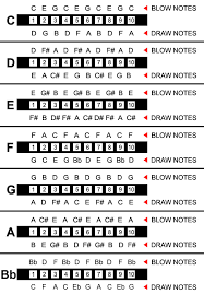 Harmonica C Note Layout Google Search Recording Studio