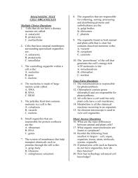 Plant cell responsible for photosynthesis. Diagnostic Test
