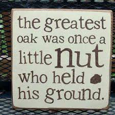 Little Acorn S Motto Gardening Quotes Funny Garden Quotes Signs Garden Quotes