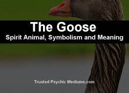 The Goose Spirit Animal A Complete Guide To Meaning And Symbolism Spirit Animal Animal Symbolism Spirit Animal Meaning