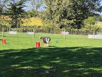 AKC Fetch Practice (All Levels)