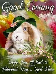 Good Morning Good Afternoon Good Evening And Good Night Good Evening Hope You All Had A Pleasant Day Good Evening Messages Good Evening Good Night Blessings
