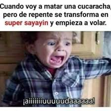 Chistes Memes Gracioso Divertido Memes Memes Comicos Memes Chistosisimos