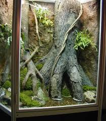 Fake Tree Root Background Terrarium Vivarium Terraria Aquaria