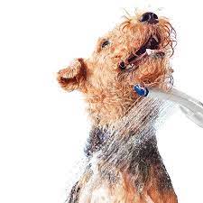 Pets Dog Shower Pets
