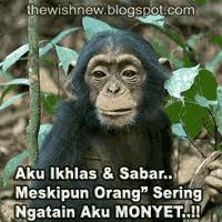  Dp Animasi Bbm Monyet Lucu Dp Bbm Animasi Terbaru Versi Photoshop Cartoon Jokes Gambar Lucu Lucu