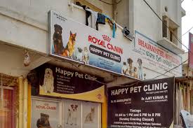 She is the best vet we have ever seen, and she absolutely loves all animals, and treats them as her own. Happy Pet Clinic Veterinary Clinic In Madhapur Hyderabad Book Appointment View Fees Feedbacks Practo