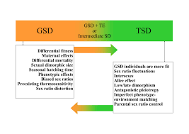 Sexual transmission of hiv within migrant groups in the eu/eea. Molecular Players Involved In Temperature Dependent Sex Determination And Sex Differentiation In Teleost Fish Genetics Selection Evolution Full Text