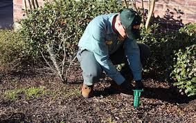 Instead, professional technicians come to your we've been using clark for close to 7 years and i'm very happy with their service. Termite Control Texas Bill Clark Pest Control