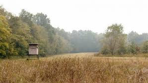 Thank you for watching my video make a deer hunting blind for less than $200 please subscribe: Diy Elevated Deer Hunting Blind Plans Trophy Buck Guaranteed