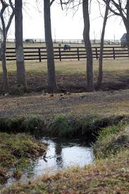 The causes and scale of the environmental damage are. Preventing Water Pollution On Your Horse Farm The Horse