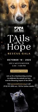 Mayor's Alliance for NYC's Animals