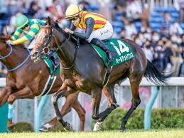 Jun 14, 2021 · 【なんj競馬】岐阜新聞「笠松問題は処分が終わり決着した。ネット上の雑音に惑わされず強い信念で再開させよ」 エイダン・オブライエン「日本の馬は太ってる」 【競馬】馬主「この馬、外国産馬やな！せや！名前は・・〇〇や！ Mbbrvxcixnwo8m