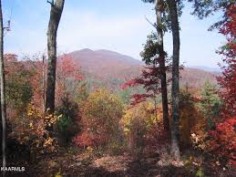 Bitter Creek Hts, Harriman, TN 37748