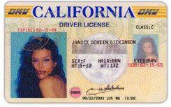 Janice Dickinson S License Lmao Janice Dickinson License Photo Drivers License