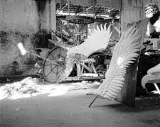 Bildergebnis für Ala D'Amico