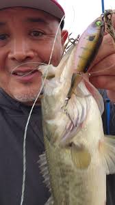 3rd day with Top Water Bite in February of 2024, anybody else catching bass 