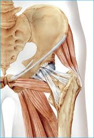Proximal Hamstring Tendinopathy Pathophysiology Diagnosis And Treatment British Journal Of Hospital Medicine