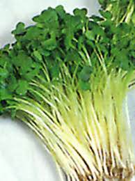 もやし E 種や 国内最大級の野菜種 花種 苗 農業資材の販売店