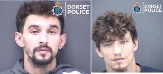 Men sentenced for serious offences against animals in Dorset