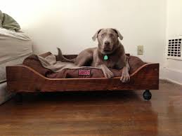 If the beds have a ladder or wooden staircase, your dog could slip and fall while attempting to access the upper berth. Custom Dog Beds Wood Laptrinhx News