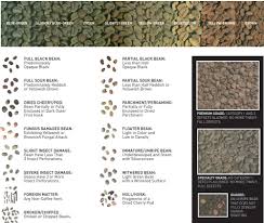 Coffee Fact Coffee Is Grouped Into 3 Categories Premium Grade Specialty Grade And Quaker Tea Cafe Beans Black Beans