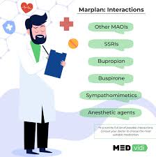 Image result for Isocarboxazid