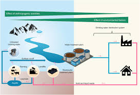 With tetracycline resistance on the plasmid vector pbr322. Antibiotic Resistance In Drinking Water Systems Occurrence Removal And Human Health Risks Sciencedirect