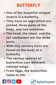 Move 3 bases, and a homerun: 10 Lines On Butterfly For Students And Children In English A Plus Topper