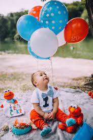 But you're not crazy about the idea of your tiny precious human gorging himself on a cake that has enough sugar, butter, and artificial colors in it to give even you a tummy ache. Baby Boy Elmo Cookie Monster 1st Birthday Cake Smash Stock Photo 032f712d 42b1 4a0a A674 38d27960c646