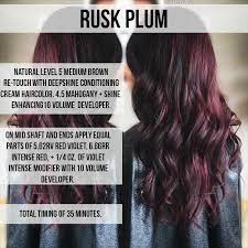 Red Plum Hair Color Purple Hair Color Burgundy Hair Color Formulas