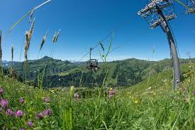 Karte karte ausblenden merken seite zu merkliste hinzufügen. Haus Sonja Urlaub Haus Sonja In Damuls Lassen Sie Den Alltag Zu Hause