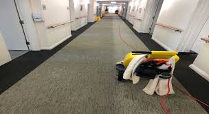 Please click here to view our pest control page or click here to view our gold coast pest. Carpet Cleaning Chevron Island Stain Solutions Gold Coast