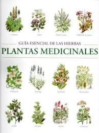 El nuevo libro de consulta de las hierbas. Pe Guia Esencial De Las Hierbas Plantas Medicinales Edmund Chessi Casa Del Libro