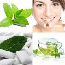 4 pics 1 word level 32